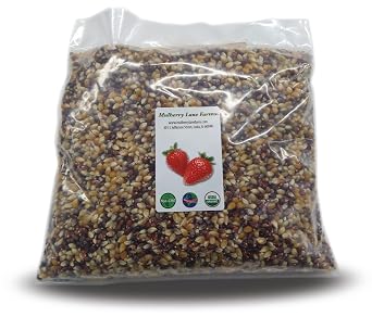 Multi-colored Popcorn Popping Corn 5 Pounds Calico or Rainbow Kernels, USDA Certified Organic, Non-GMO Bulk, Product of USA