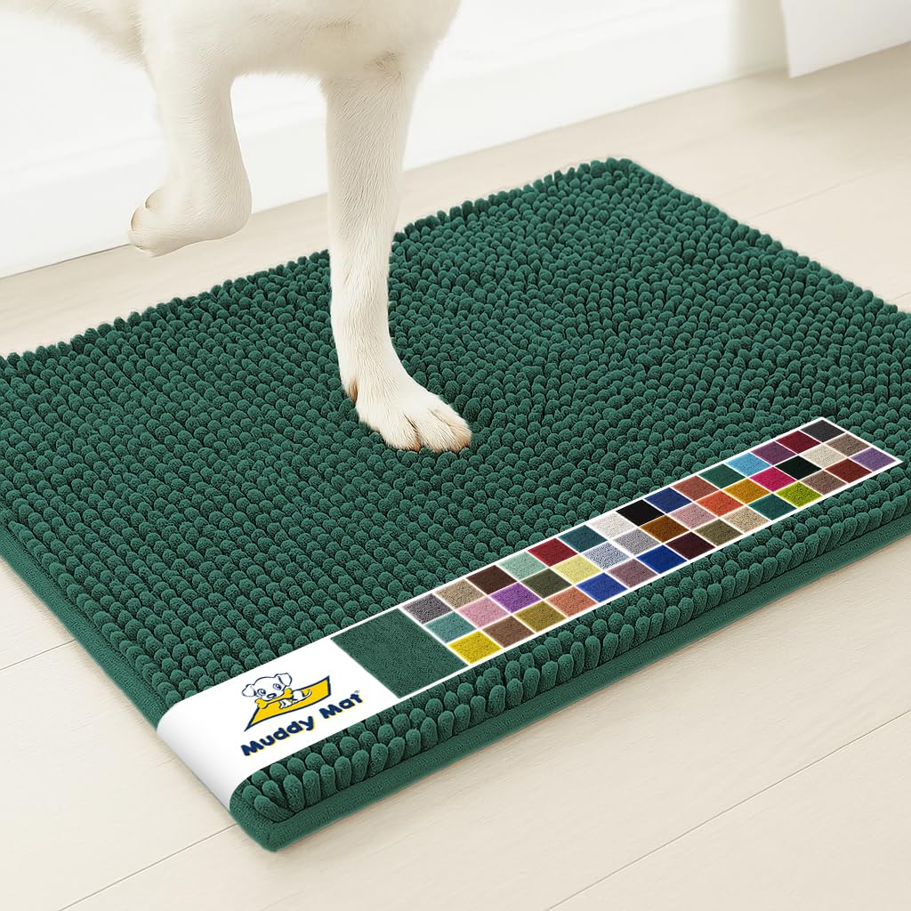 Muddy Mat® | Super Water Absorbent Door Mat Indoor, Microfiber Quick Dry Chenille Entryway Rug, Slip Resistant Front Door Mat, Indoor Mats for Entryway, Machine Washable Pet Rug, Dark Green 2ft x 4ft
