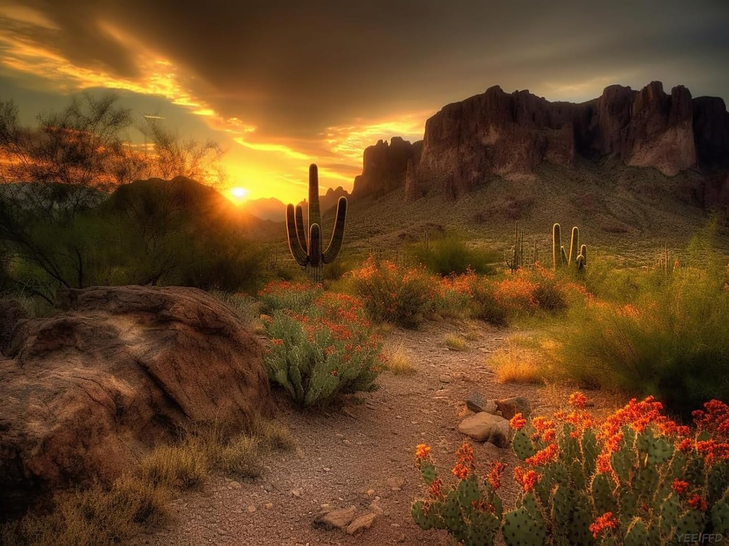 YEEIFFD DIY 5D Diamond Art Kits Painting for Adults Mountains Sunset Arizona Western Desert Cactus Landscape 30x40cm