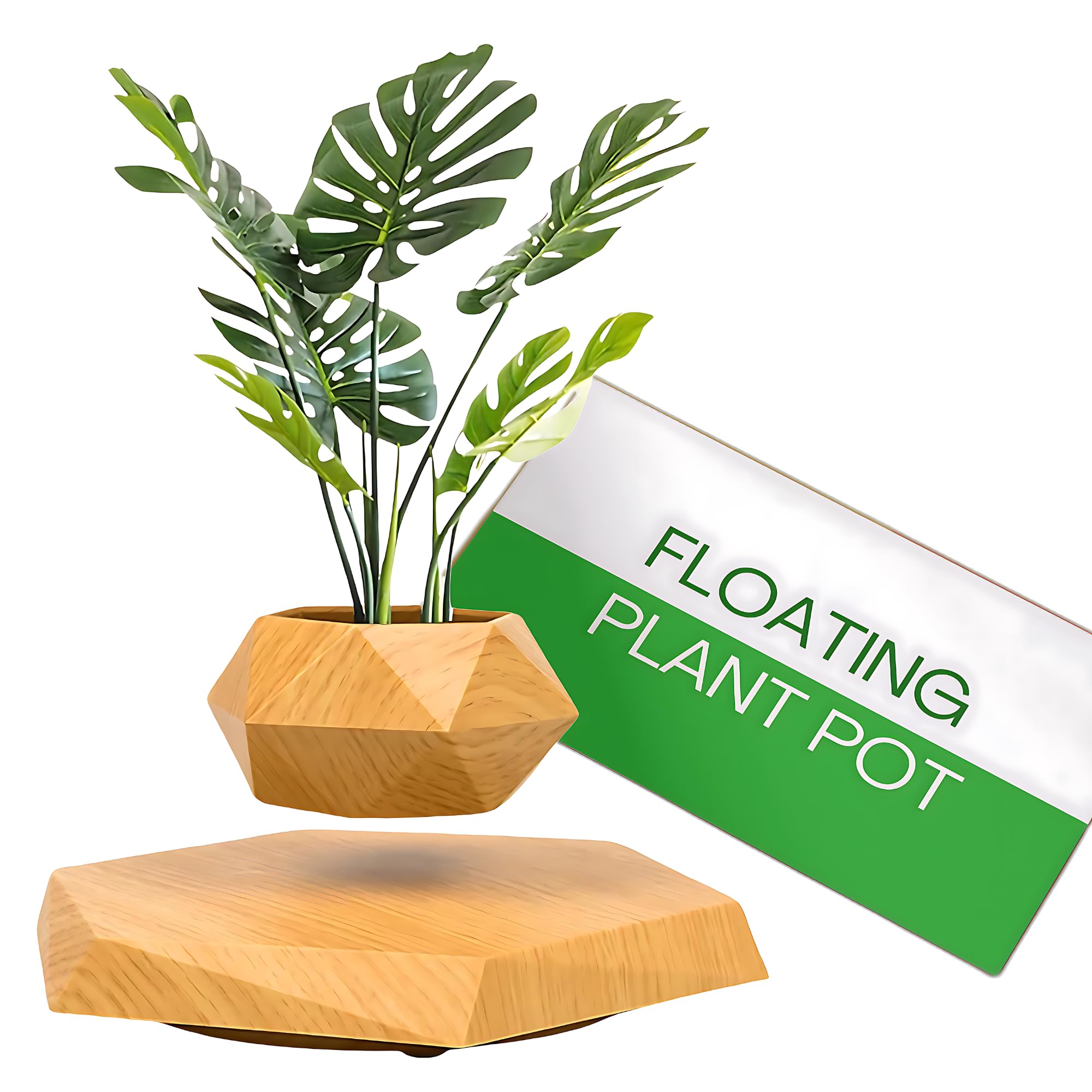 Smart Selections Gorup - SS Floating Plant Pots (Black) (B0DG5Q94WZ) Amazon Price History, Amazon Price Tracker