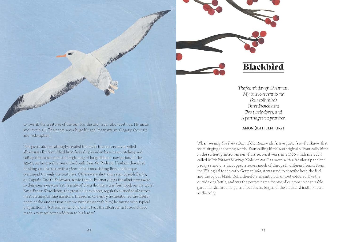 Bird Lore: The Myths, Folklore and Meaning of Birds - Image 9