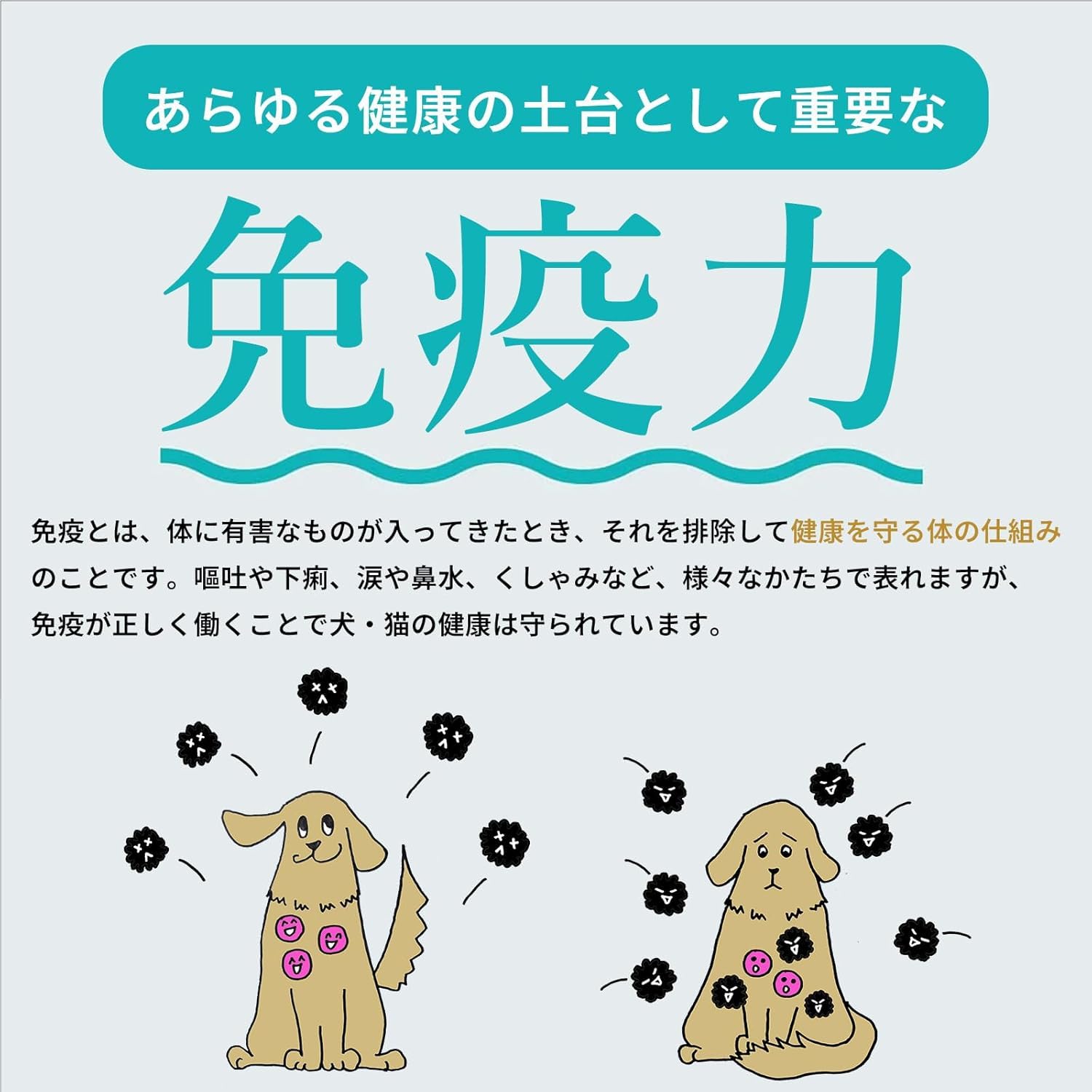Amazon | コルディ G 犬 猫 冬虫夏草 サプリ 国産 カプセル | 獣医師