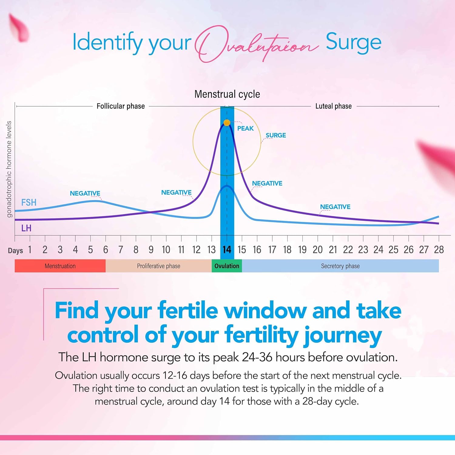 Clinical Guard 100 Ovulation Test Strips and 20 Early Pregnancy Test Strips Combo Rapid HCG Test Fertility Ovulation Predictor Kit (120 Count) - Azure/Sage