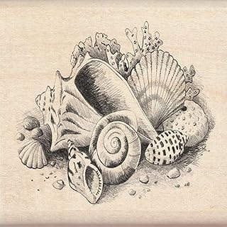 Inkadinkado Beach and Shell Wood Stamp for Card Marking and Scrapbooking, 3'' W x