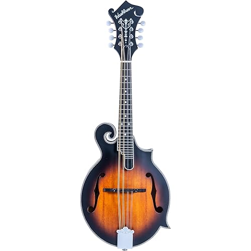 Washburn M3SEBRK F style Mandolin Brown Burst with Gig Bag