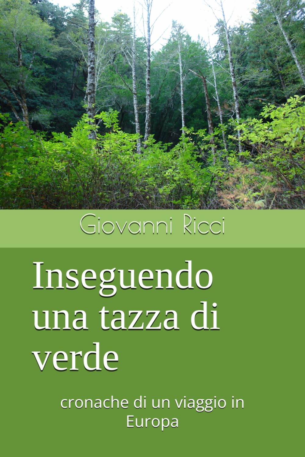 Inseguendo una tazza di verde: cronache di un viaggio in Europa