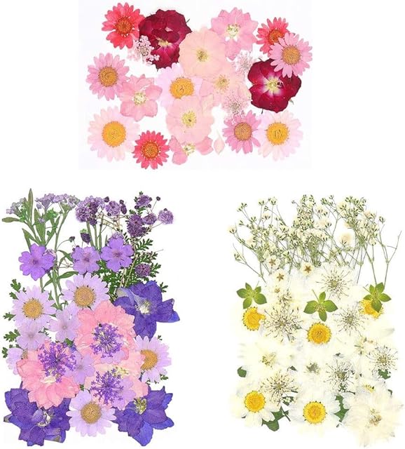 kuou 90 PCS Multiple Real Flowers, Natural Dried Pressed Flowers Dried Daisy Flower for Crafts Candle Resin Scrapbooking Pendant Jewelry DIY