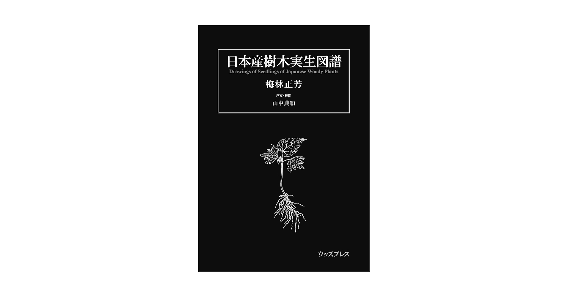 原色精密 日本森林樹木図譜 日本竹類図譜付　大型本 初版本 原色精密 日本森林樹木図譜 日本竹類図譜付 大型本 初版本