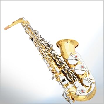 Alto E Flat Sax Saxophone Gold Nickel Key Binding Large Guard Sax Brass Material Brass Sax