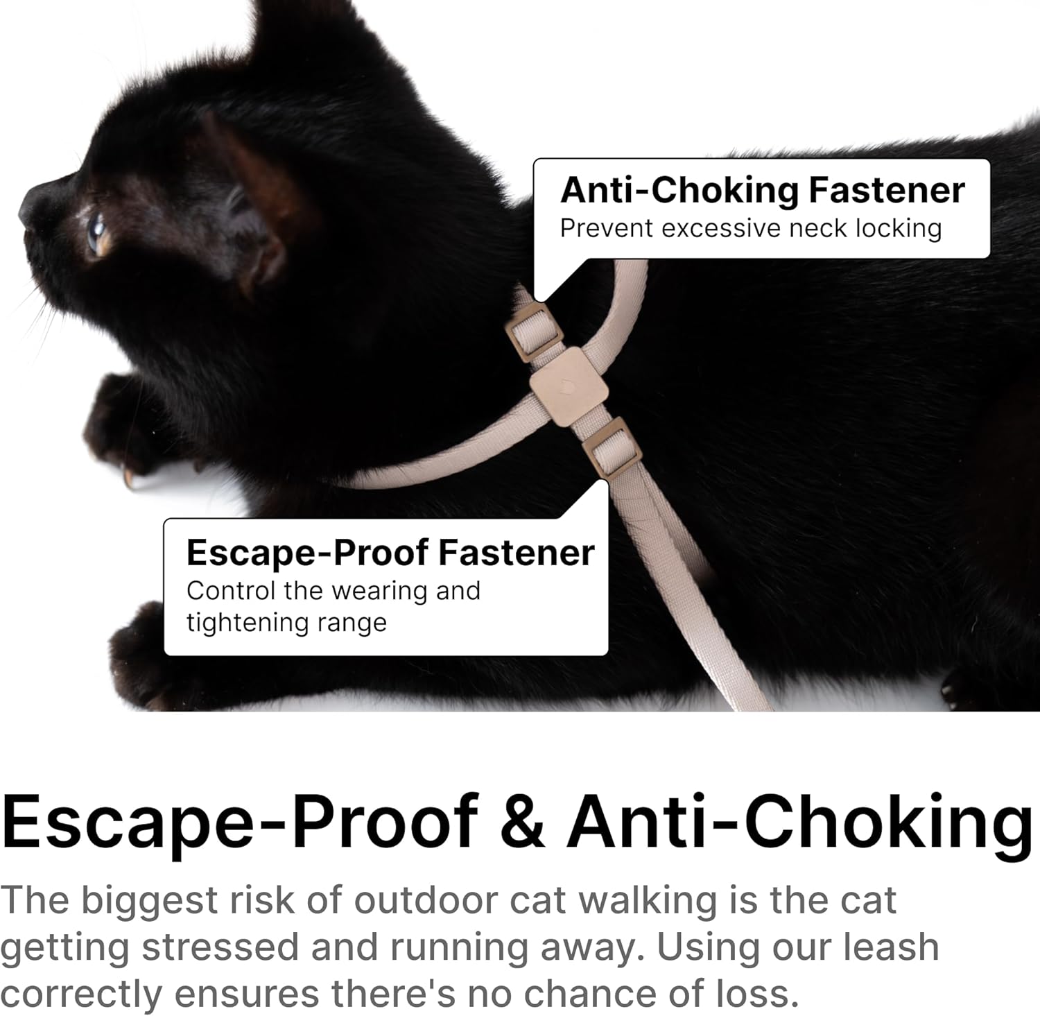 BuddyArmor Cat Harness & Leash Set - Escape Proof, Soft Adjustable, Lightweight - For Small to Large Cats (Blush Pink) 4 71kWSodDY7L. AC SL1500