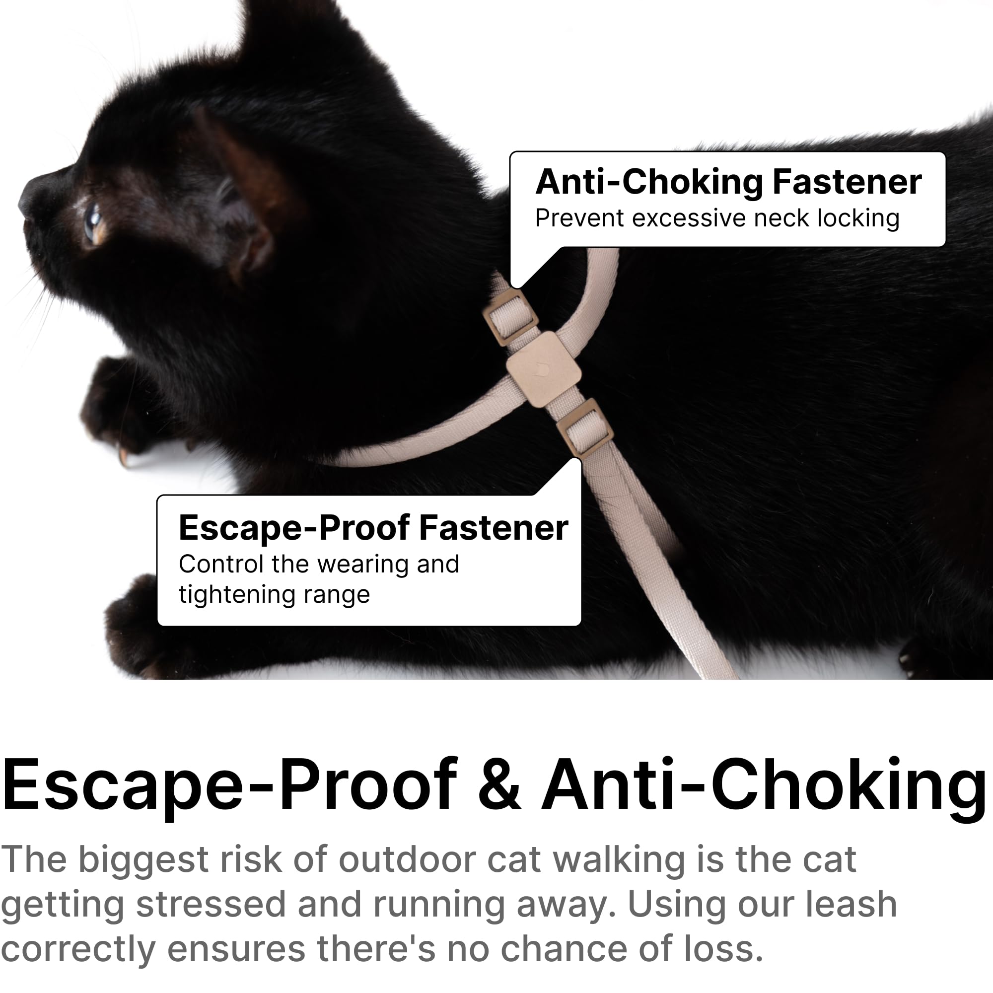 BuddyArmor Escape Proof Cat Harness and Leash 2-in-1, Anti-Choke Soft Adjustable Lightweight Cat Walking Lead - Image 3