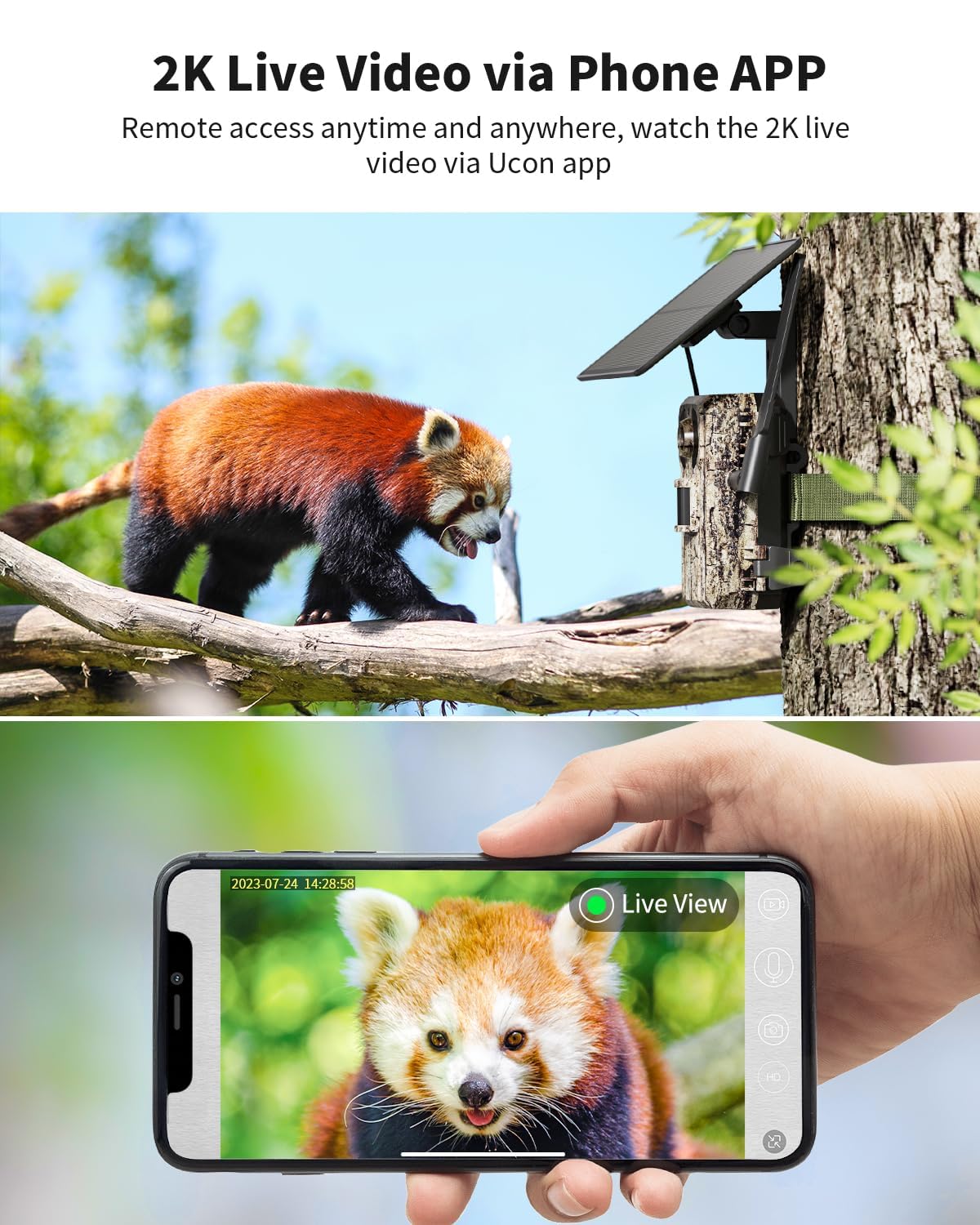 Pack de 2 Cámaras Fototrampeo Solar 4G LTE con SIM, sin WiFi, Batería 10400 mAh, Visión Nocturna Infrarrojos Invisible 950nm, Audio 2 Vías, Activación 0,2s, IP66