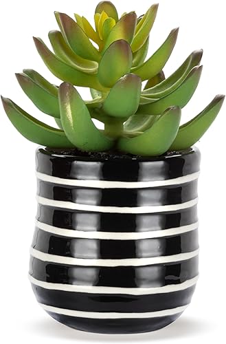 Vista 17 de DEMDACO Heartful Home by Tracy Pesche Collection Mini suculentas falsas corazones rojos lunares negros 2 x 1.5 gres decorativo para decoración