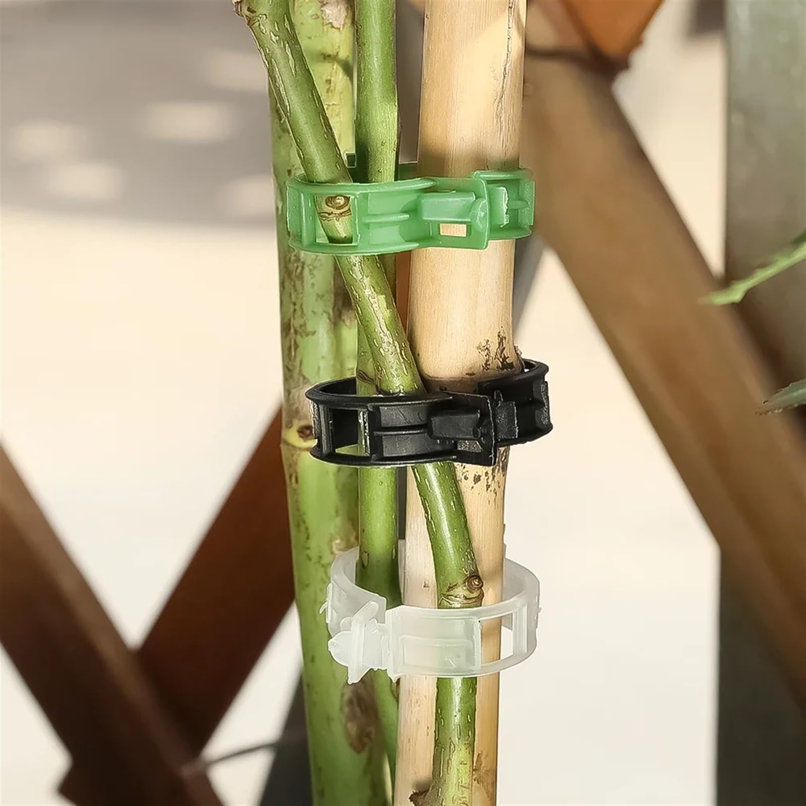 Mollette di sostegno per piante da giardino, Clip di supporto for piante in PP riutilizzabili for piante rampicanti Multicolor 10-100 Pz(Transparent,50 PCS)