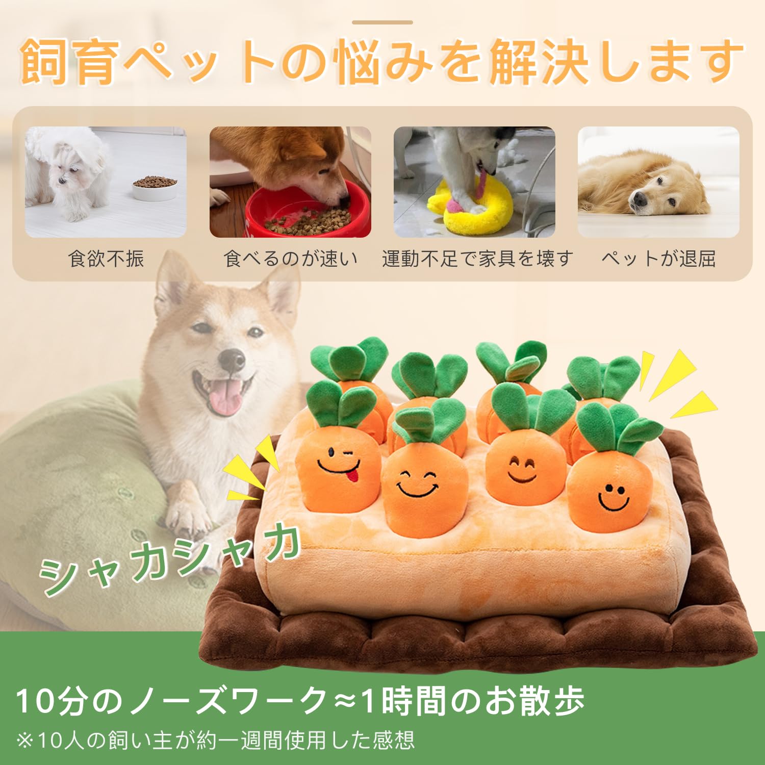 【オーダー用】にんじん畑　おもちゃ　ぬいぐるみ　バードトイ オーダー用】にんじん畑 おもちゃ ぬいぐるみ バードトイ