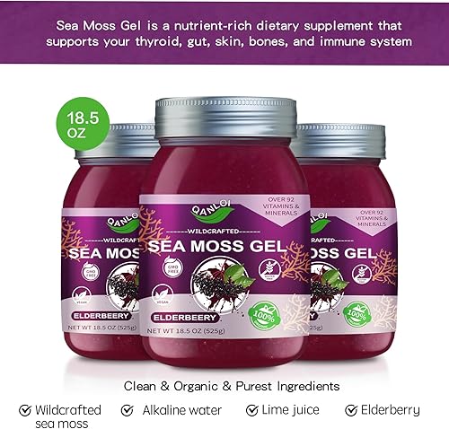 Miniatura 4 de Gel de musgo marino irlandés, superalimento avanzado con musgo marino orgánico natural, 18.5 onzas, suplemento de musgo marino (saúco)
