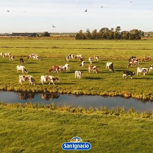 Miniatura 2 de Pastelería San Ignacio Dulce de Leche – Crema de Caramelo, Consistencia Homogénea Ideal para Postres y Desayunos – Sin Gluten (22.0 lbs)