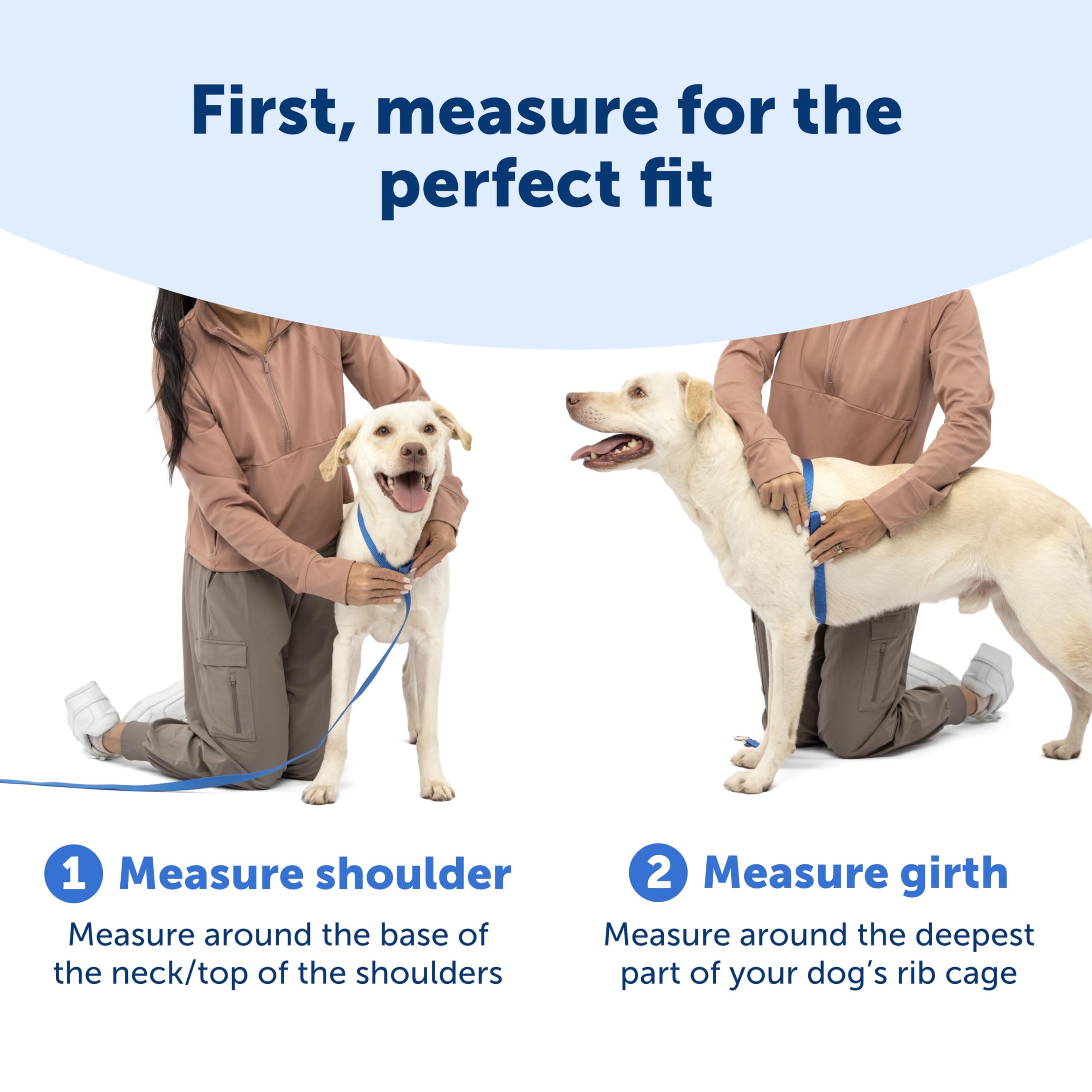 PetSafe Easy Walk - Pettorina per cani comoda e anti-tiro, per migliorare la camminata, design imbottito su tutto il corpo, tessuto resistente, vestibilità regolabile in 5 punti, guinzaglio per