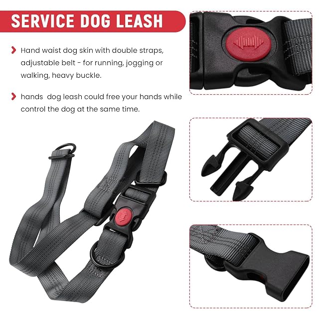 Foto 5 de 8 de Widybord Correa de perro con doble cuerda elástica, control libre para hasta 150 libras