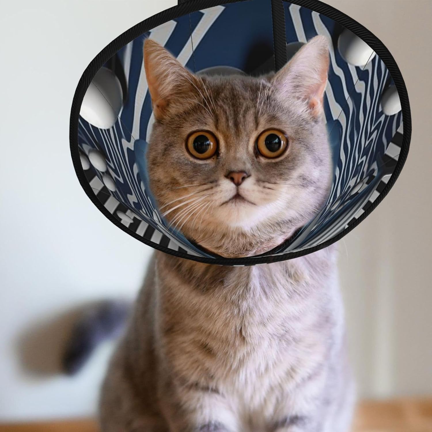 Custom Pet Cones - Unique Design Cat & Dog Cone, Collar for Post-Surgery Recovery, Adjustable Neck Dolphin Swimming Medium