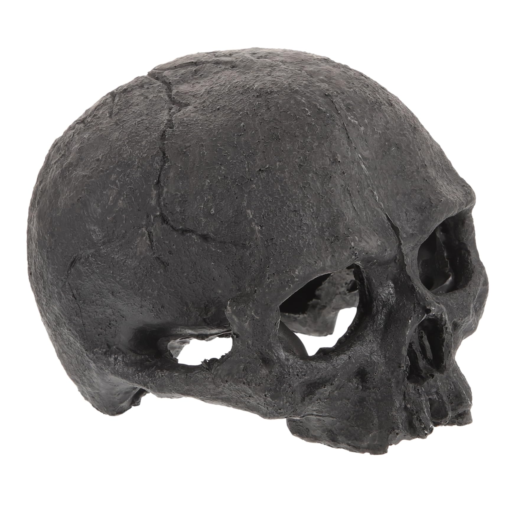 ABOOFAN 5 Pezzi Ornamenti del Cranio Nascondere Pelle di Rettile Ornamenti per Acquari Tropicali Decorazione Dell'acquario del Cranio Ornamento Arredamento Grotta Acquario Black Resina