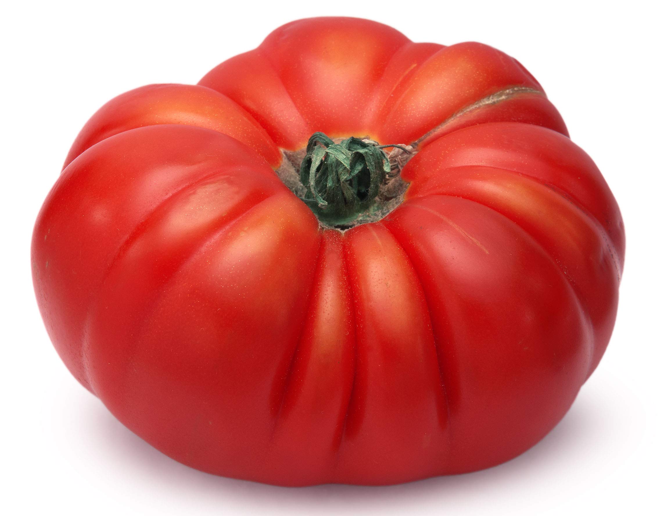 Amazon.com : Cosmonaut Volkov Ukrainian Heirloom Tomato Premium