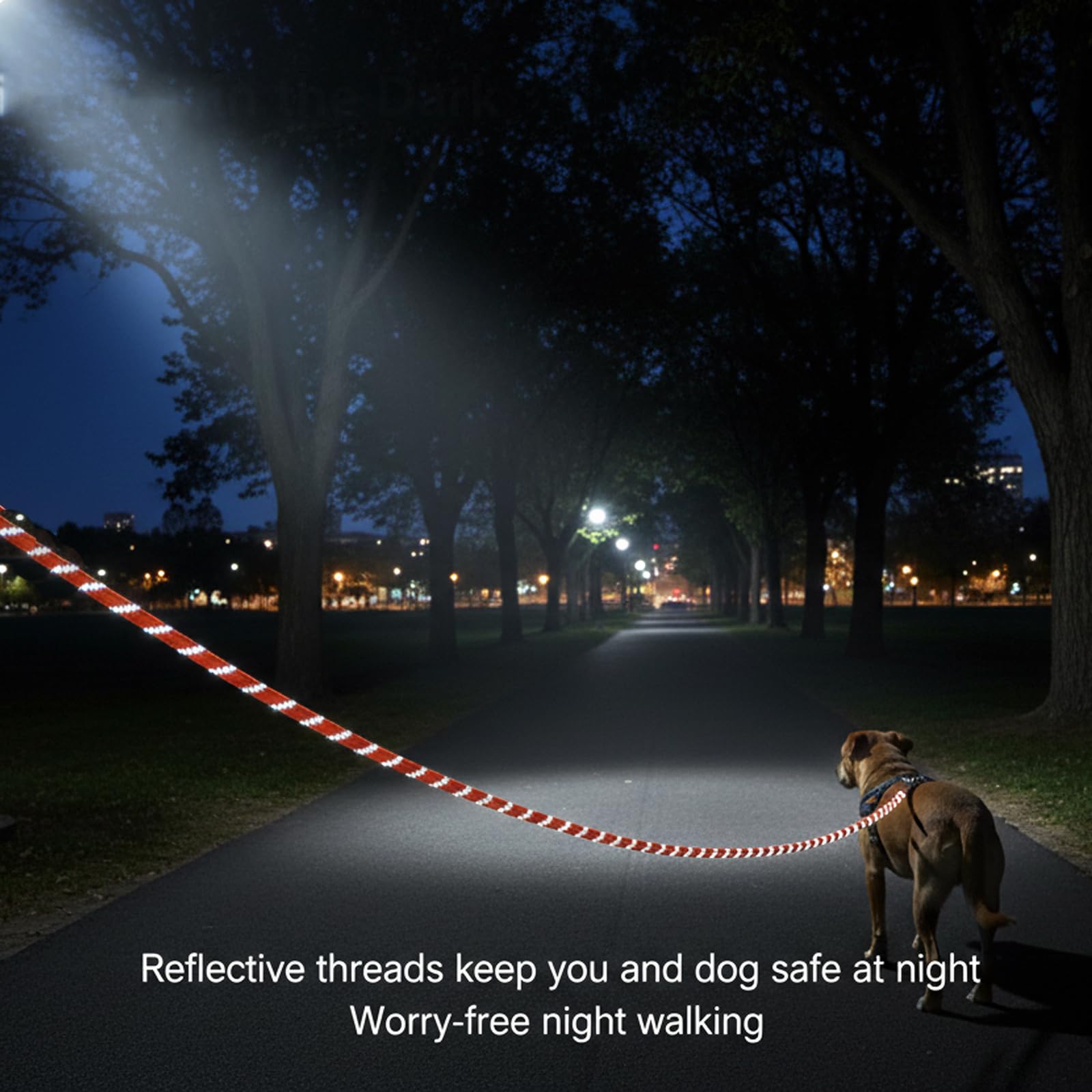 Laisse réfléchissante pour chien de 4,6 m, 9,1 m, 15,2 m de long, corde d'attache réfléchissante pour jardin, dressage d'obéissance, camping, jeu, tapis de jardin pour chiens de grande et