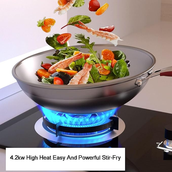 Estufa de Gas 1 Quemador, Encendido Automático para Jardín Camping miniatura 6