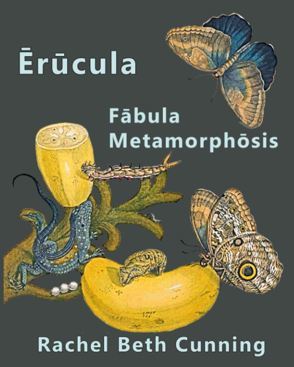 Erucula: Fabula Metamorphosis: A Latin Novella