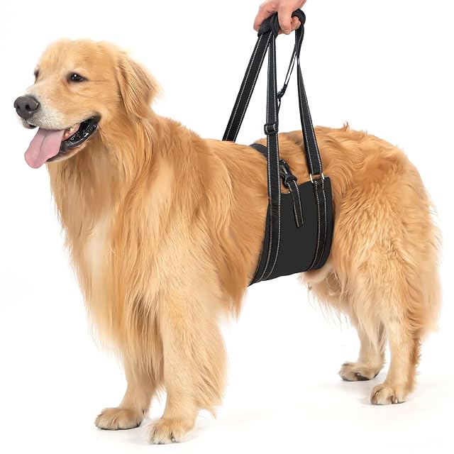 Avont Arnés de Elevación para Perros