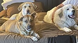 Review Image by Liz Liz