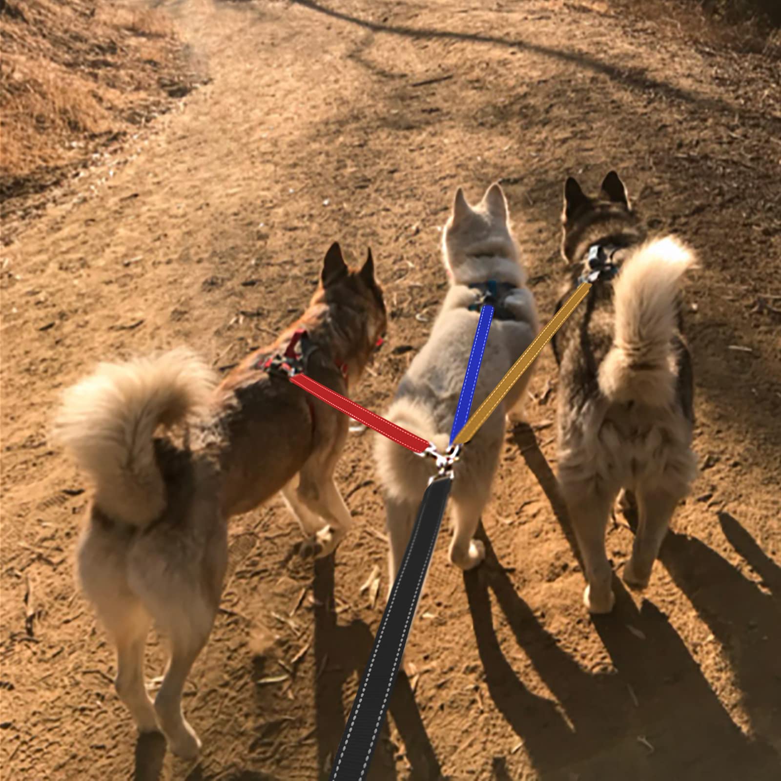 Correa de 3 Vías para Perro, Desmontable y Reflectante, Acolchada, Ajustable, Triple Acoplador, Cuerda de Tracción para Caminar Uno, Dos o Tres Perros