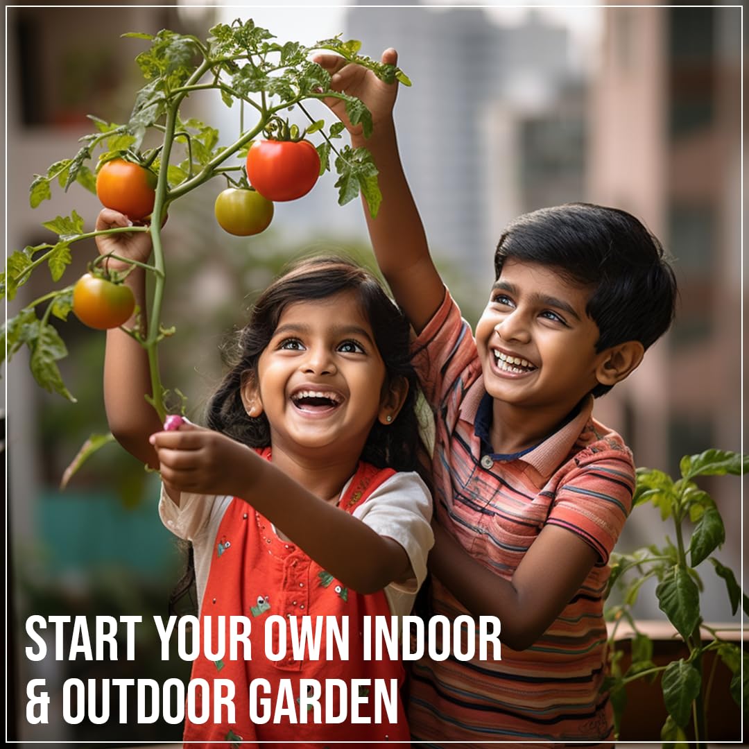Sattvishtik Grow Box Tomato Vegetable Kit for Kids | Pack of 1 | Eco Friendly Gift for Kids | Beginner Gardeners | DIY | Easy Grow it Yourself Gardening Kit for Home & Garden 4