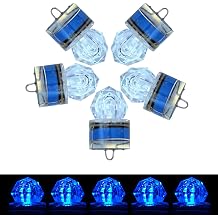 5PCS Diamond LED Fishing Attractant, Underwater Fishing Lures Flashers, Deep Sea Fishing Lures for Halibut, Tuna, Grouper,Tilefish, Swordfish
