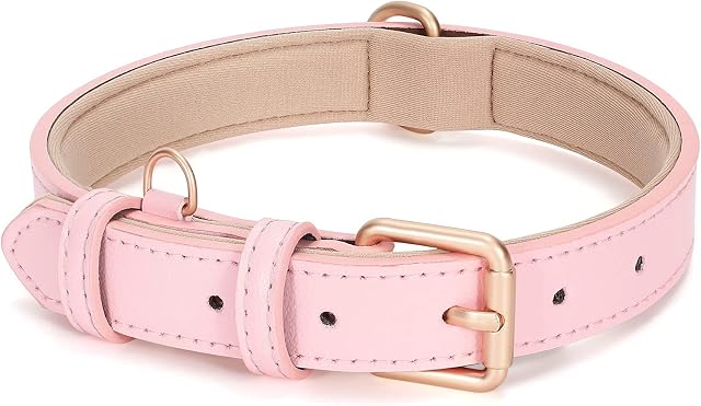 JASGOOD Leather Dog Collar for Small Medium Large Dog Adjustable Soft Breathable Leather Padded Puppy Collar Heavy Duty Waterproof Classic Dog Pet Collar, Pink, M