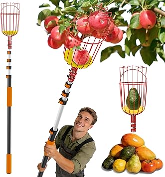 Buyplus 26ft High Reach Fruit Picker with Basket Telescoping, 5-20 Foot Heavy Duty Sturdy Aluminium Telescoping Extension Pole, Easy to Attach Twist-On Metal Basket for Picking Mango Avocado Lemon