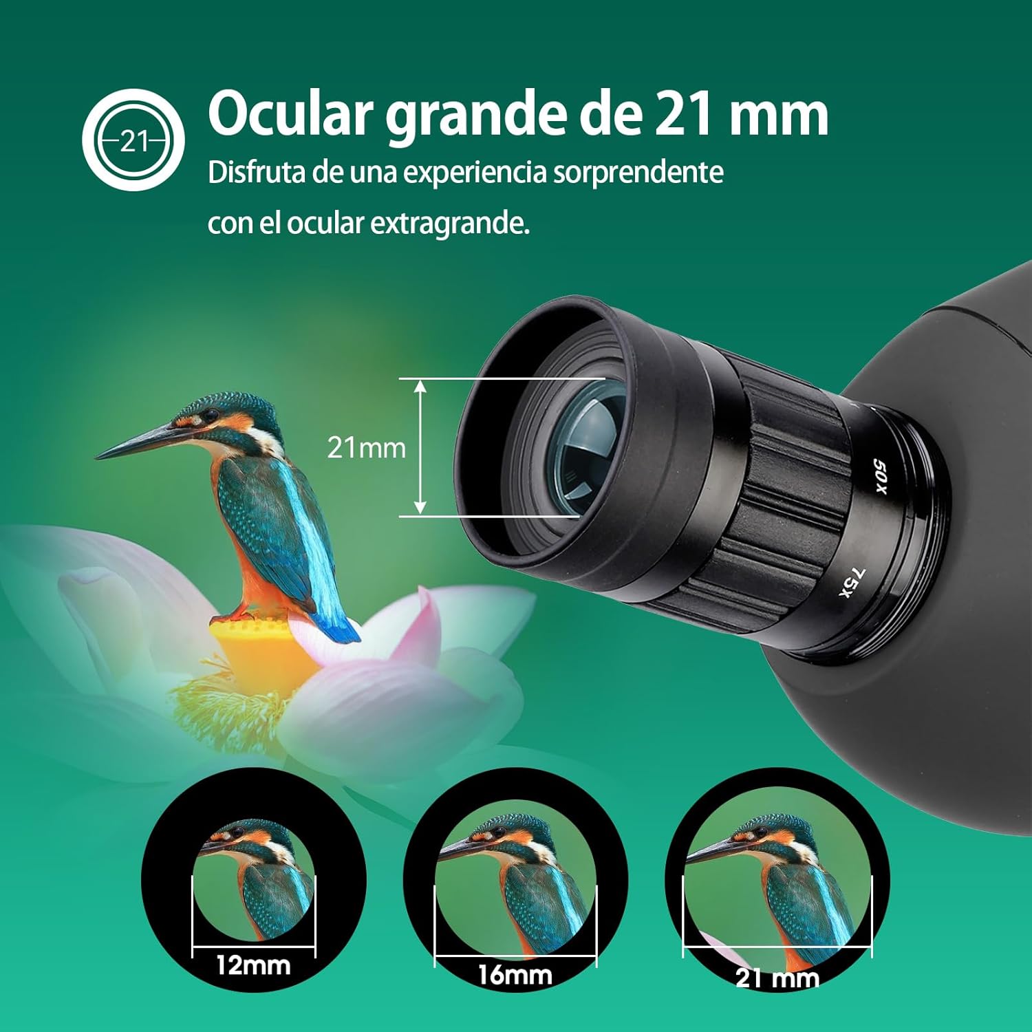 SVBONY SV28 Spotting Scopes with Tripod, 25-75x70 Spotting Scope with Phone Adapter, IP65 Waterproof Fogproof Spotter Scope for Target Shooting, Bird Watching - Image 2