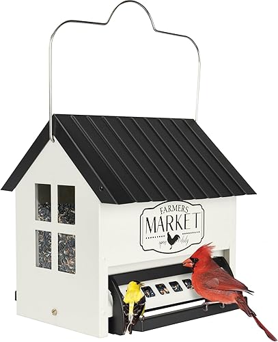 Nature's Way Bird Products SPHOP-1 Squirrel Shield Mangeoire à trémie