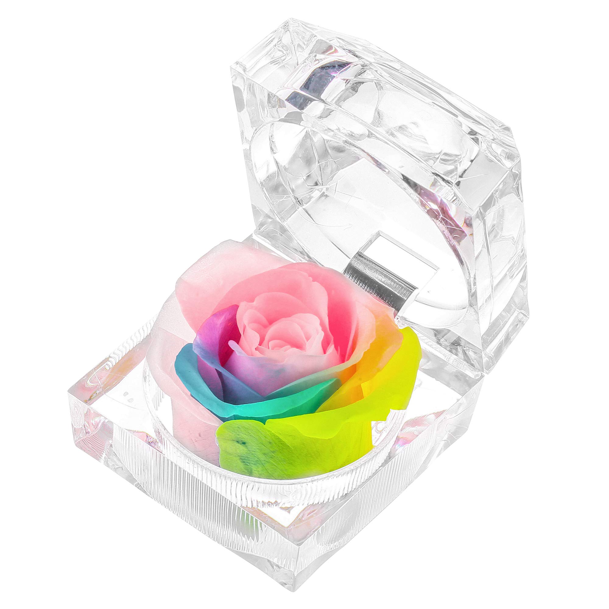 Enchanted Real Preserved Forever Rose in Clear Acrylic Ring Box, Fresh-Cut Eternity Flower That Lasts Years, Valentine’s Day, Mother’s Day, for Her, Rainbow
