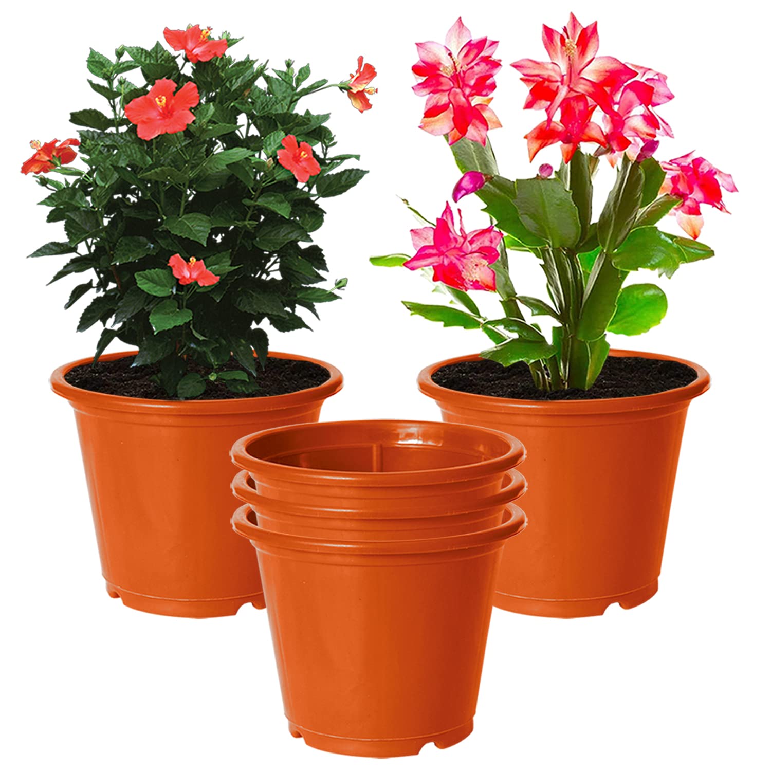 See full amazon price history chart for Kuber Industries Durable Plastic Flower Pot|Gamla with Drain Holes for Indoor Home Decor & Outdoor Balcony,Garden,6"x5",Pack of 5 (Orange) Kuber Industries Durable Plastic Flower Pot|Gamla with Drain Holes for Indoor Home Decor & Outdoor Balcony,Garden,6"x5",Pack of 5 (Orange) (B0B68X7TF3) Amazon Price History, Amazon Price Tracker