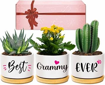 AceThrills Grammy Gifts, Grammy for Grammys Ideas for Birthday, Unique Present on Thanksgiving Christmas - 3 Pcs 3.15" Succulent Pots with Bamboo Tray