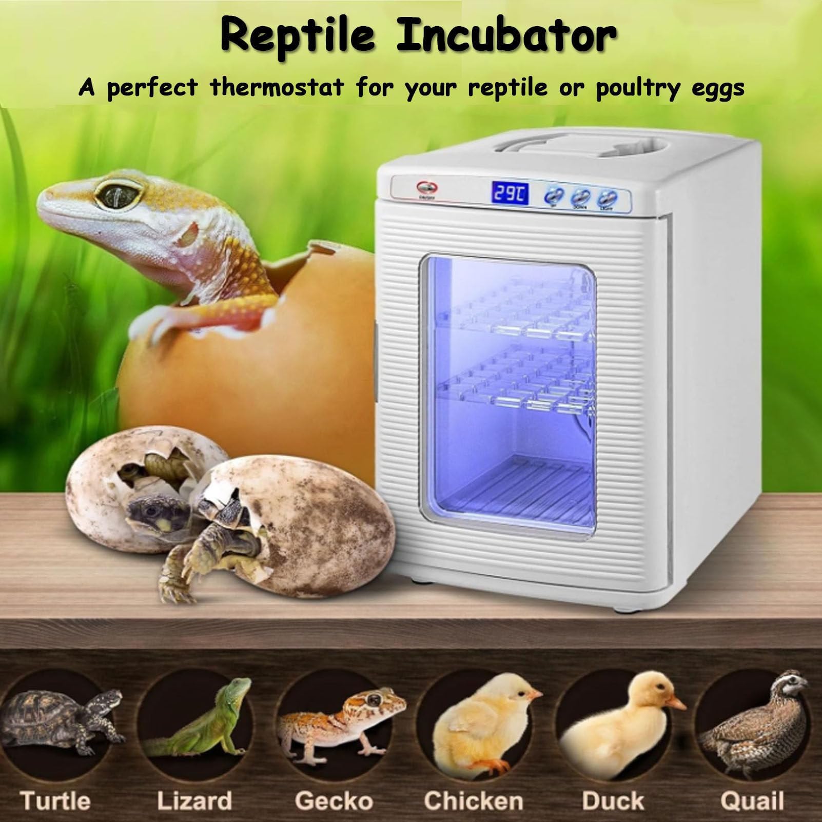 Incubadora de Huevos para Reptiles, Caja de termostato de refrigeración y calefacción de Laboratorio científico de 25 l con 5-60 °C y Pantalla LED y Mango, incubadoras de Laboratorio científico Black