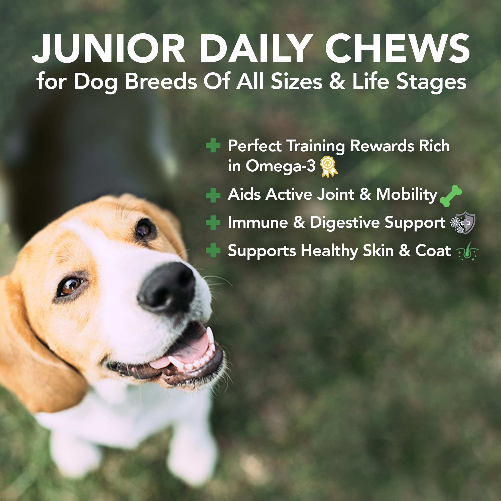 Vet's Best Daily Soft Chews - Supplements for Junior Dogs 180 Chews, Dog chew - Image 3