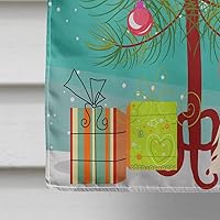 Vista 874 de Caroline's Treasures BB4243GF Bandera de jardín con texto en inglés «Merry Christmas» con texto en inglés «Merry Christmas», bandera decorativa