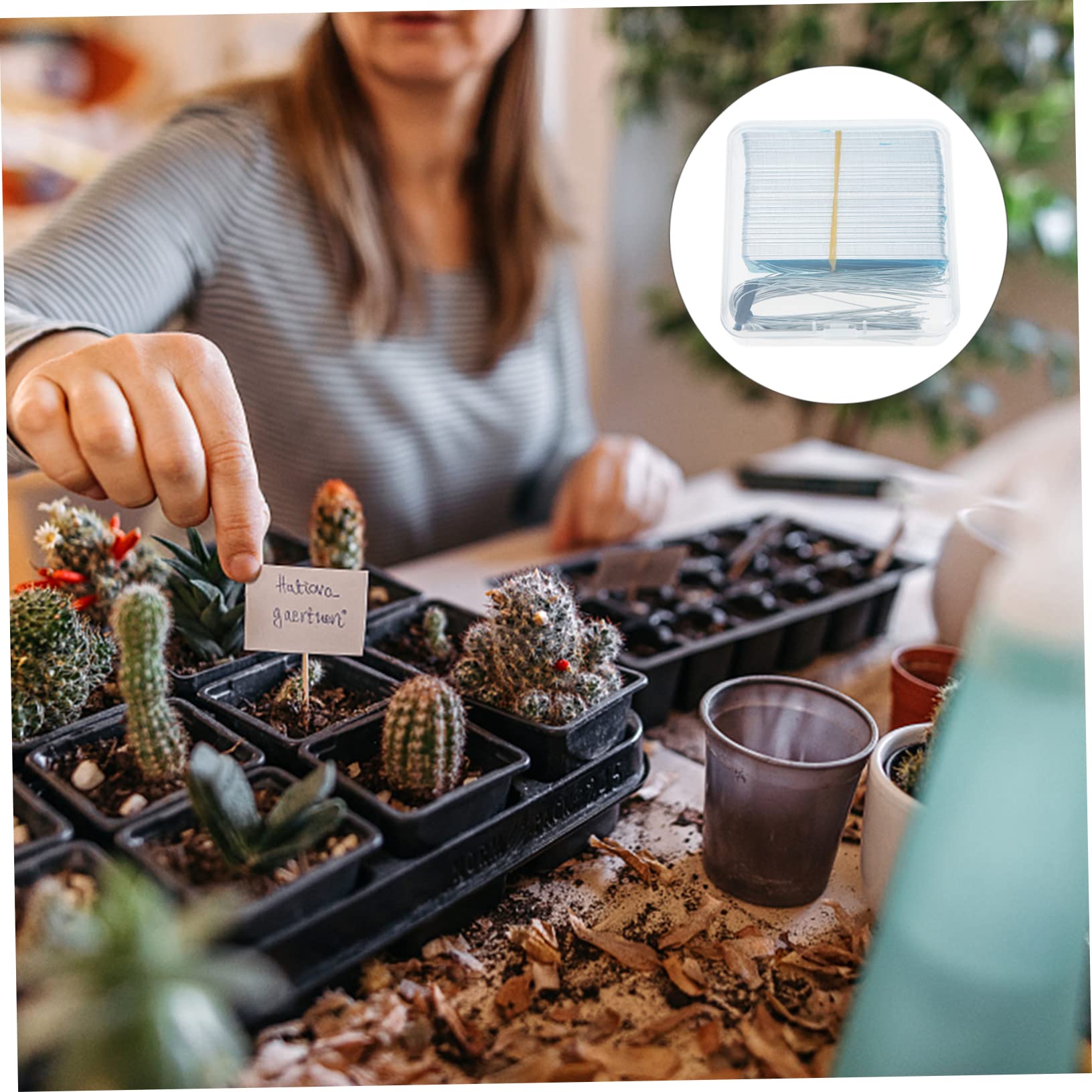Happyyami 3sätze Pflanzenetiketten Wetterfeste Gartenschilder Mit Doppeltem Lochdesign Für Pflanzenmarkierung Für Garten Gemüse Und Kräuter Lange Stäbe