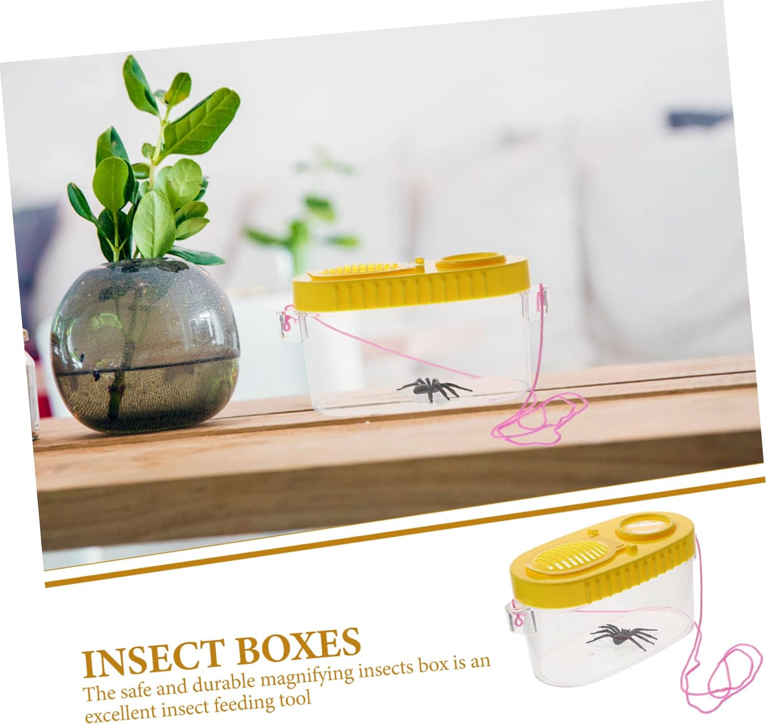 2PCS Outdoor Insect Observation Magnifying Critter Boxes for Boys and Girls Portable Multi-Function Containers Feeding Accessory for Nature Exploration