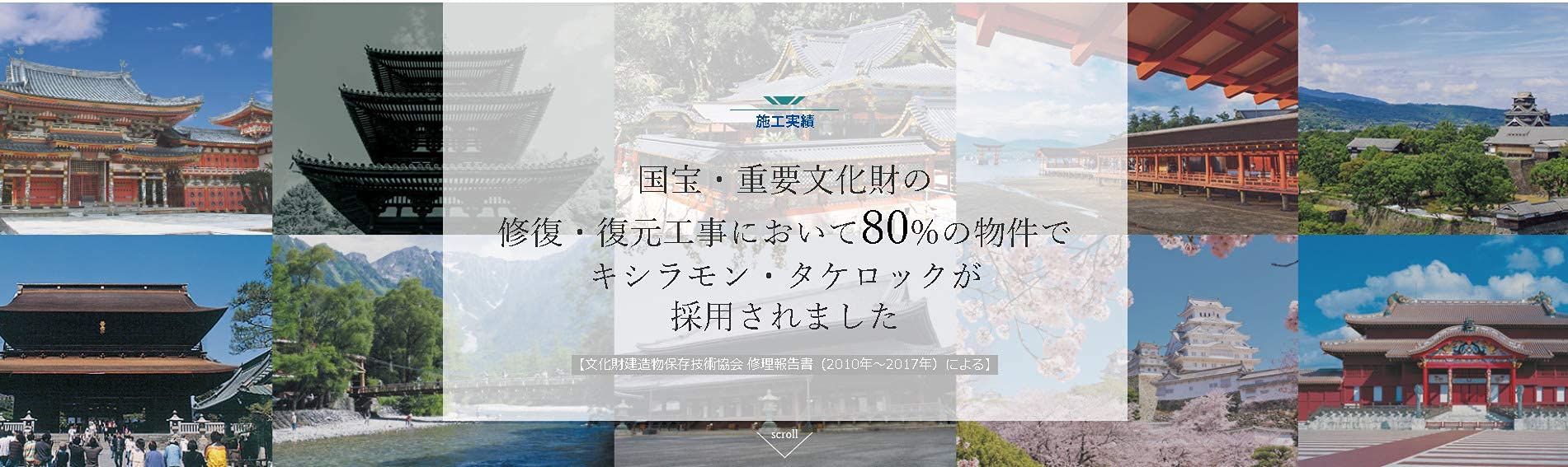 Amazon.co.jp: タケロックMC50スーパー [2L] 白アリ駆除剤 シロアリ