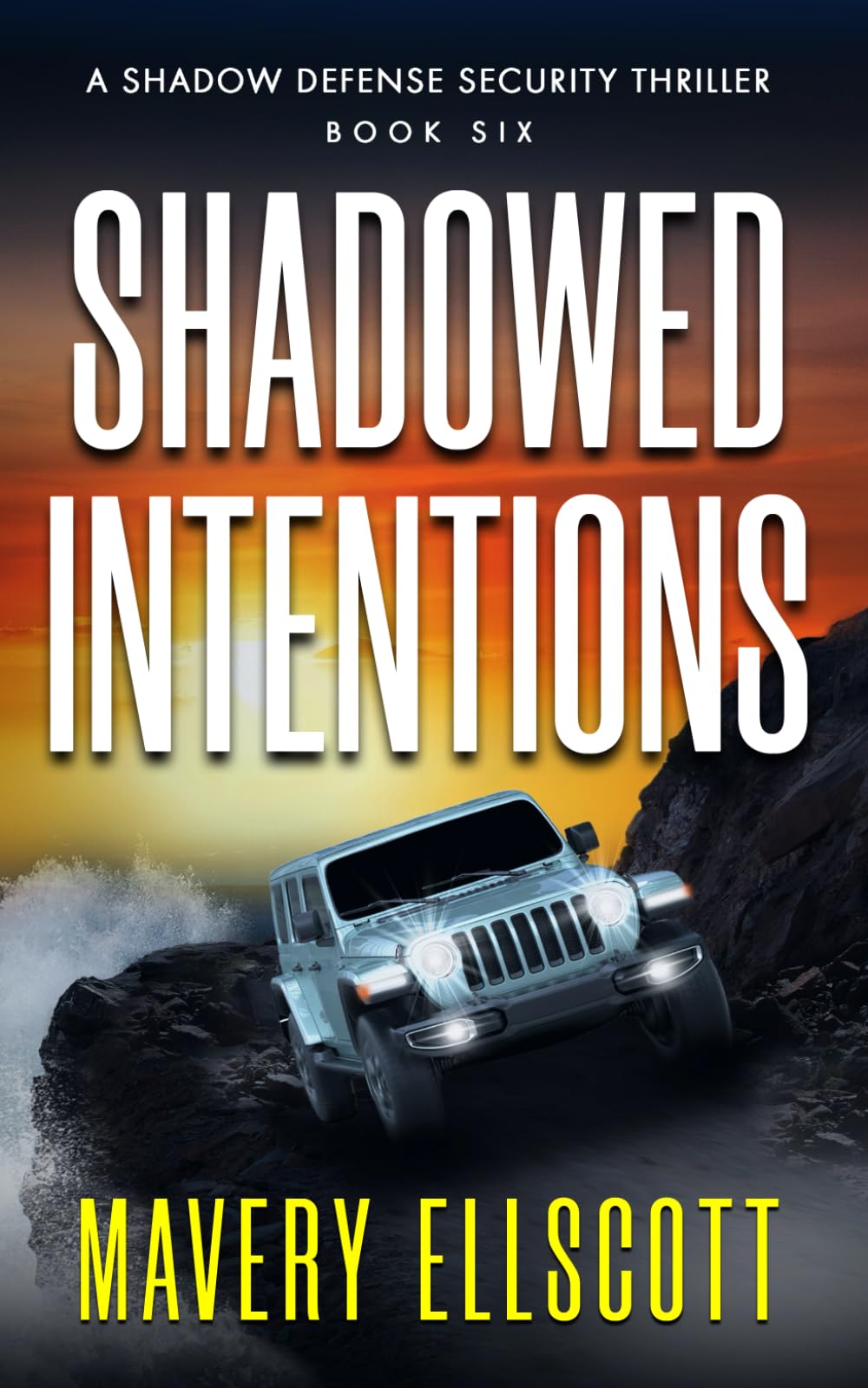 Shadowed Intentions: A Shadow Defense Security Thriller Book 6