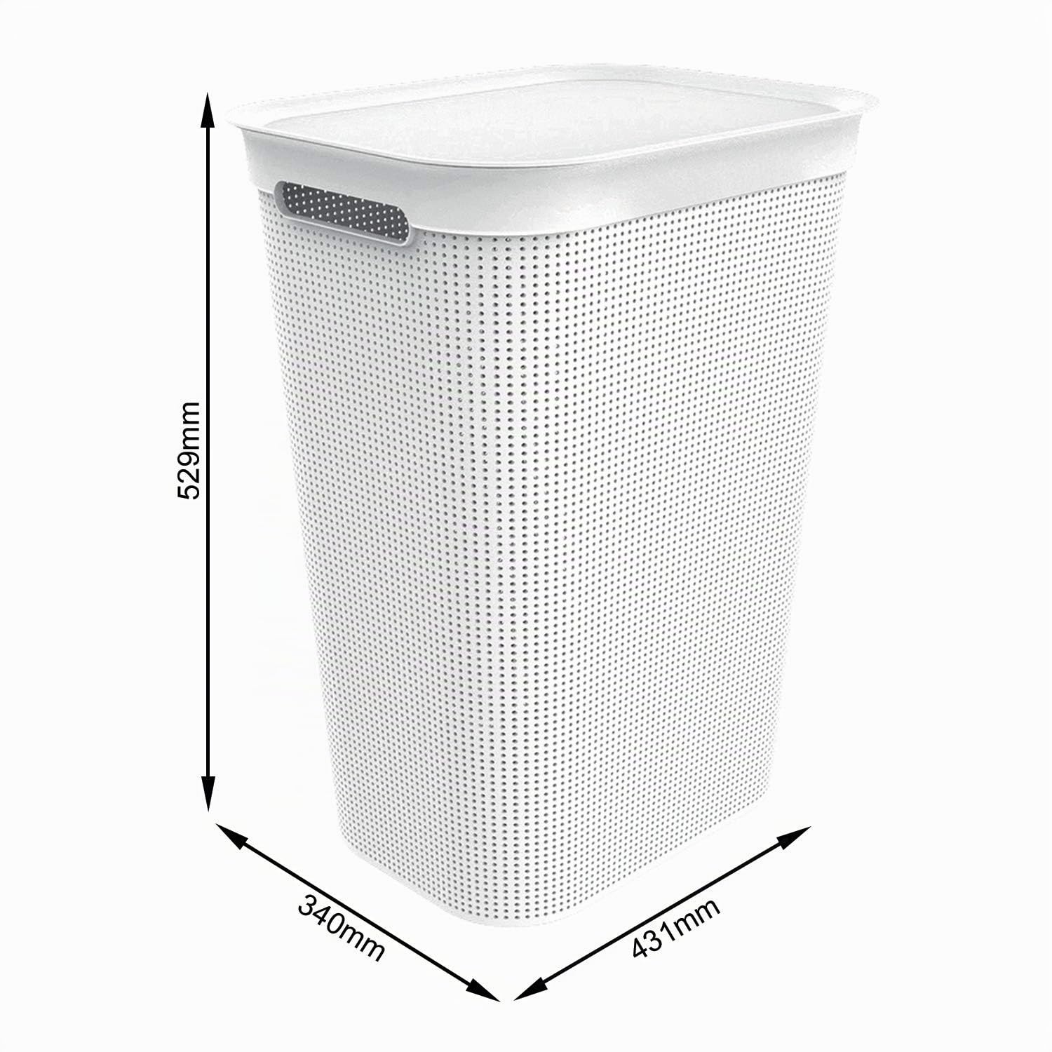 Rotho Brisen, Colector de lavado de 50l con tapa y 2 asas, Plástico PP sin BPA, muérdago blanco, 50l 43.1 x 34.0 x 52.9 cm