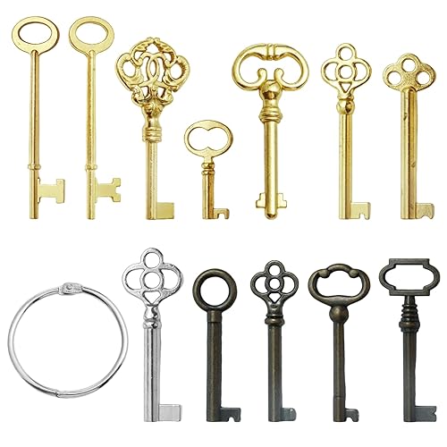 Universal Skeleton Key Set - 12PCS Hollow Barre Skeleton Keys